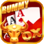rummy gem icon