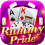 rummy bonus all app icon