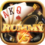 rummy p